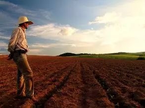 農田常見的十種土壤病